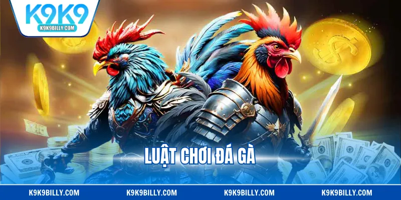 Luật Chơi Đá Gà Chi Tiết Từ A - Z Cho Người Mới Bắt Đầu