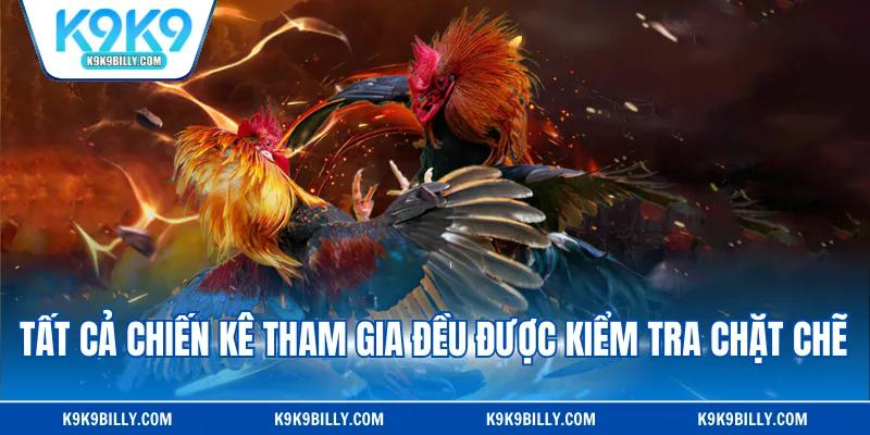 Tất cả chiến kê tham gia đều được kiểm tra chặt chẽ