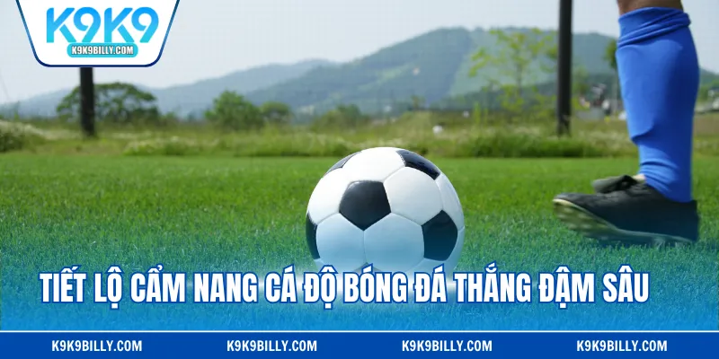 Tiết lộ cẩm nang cá độ bóng đá thắng đậm sâu