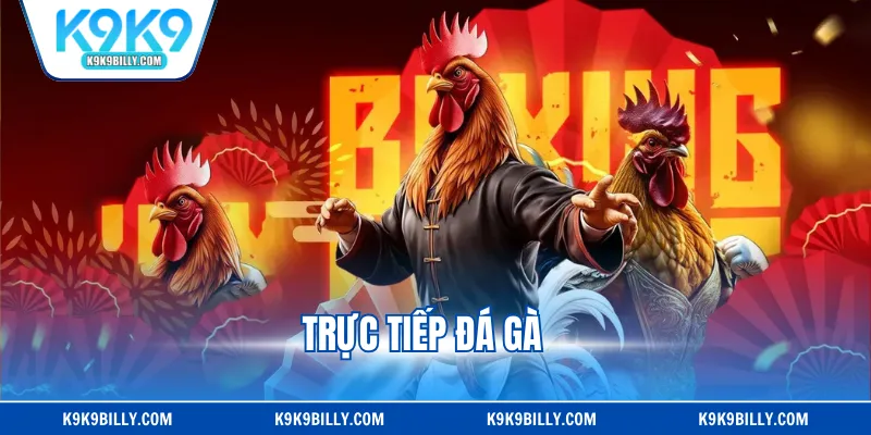 Trực Tiếp Đá Gà - Xem HD, Cược Nhanh Nhận Thưởng Lớn