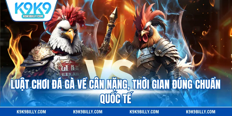 Xử lý chiến kê vi phạm quy luật trận đấu đá gà